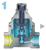 miyawaki steam traps